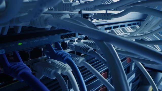 Macro Shot: IT Administrator Plugs in RJ45 Internet Connector into LAN Router Switch. Information Communication Network in Data Center with Cables Connected to Modem Ports with Blinking Lights