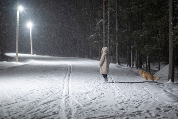 Walk with the dog in the night-in the snow by the light of lanterns.