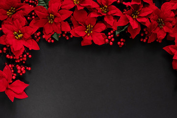 Christmas composition. A border frame made of Poinsettia flowers isolated on a black chalkboard background.