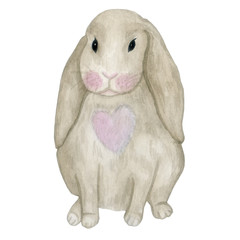 watercolor cute bunny. Valentine's Day hare with a heart on wool