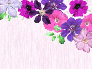 Beautiful floral background of petunias and clematis.  Isolated