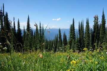 Fototapeta premium colombie britannique