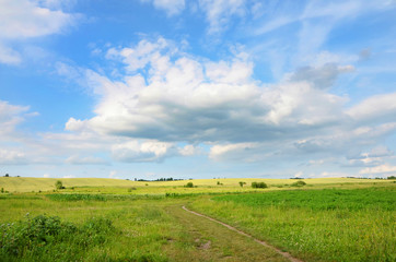 beautiful landscape with green meadows and blue sky 