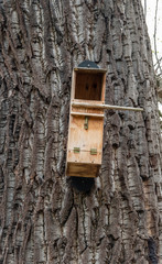 Birdhouse on a tree