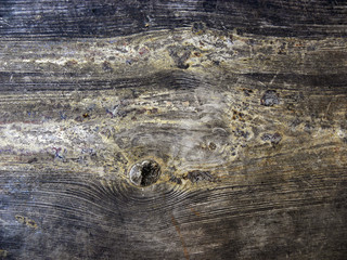wooden texture background of natural wood, wooden surface from boards
