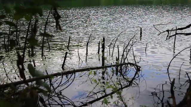 Blake lake