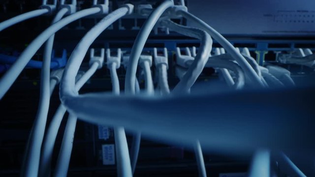 Close-up Macro Shot: Ethernet Cables Connected to Router Ports. Telecommunications: RJ45 Device Connectors Plugged into Modem Hubs. Immersive POV First Person Zoom in Camera Moving Between Cables