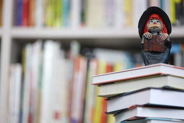 stack of books with funny wise girl figure, promotion of reading