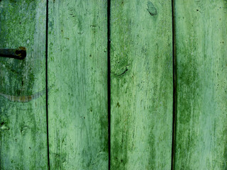 wooden green texture background, wooden surface from vertical boards