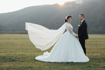 Beautiful bride in a long white dress. Handsome groom in a black suit. Beautifully fluttering veil. Beautiful brunette bride makeup and hairstyle in luxury dress. 