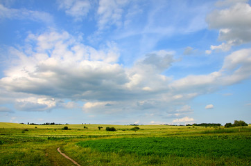 Fototapeta premium beautiful landscape with green meadows and blue sky 