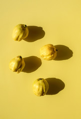 Four quinces on yellow background. Fresh quince fruits