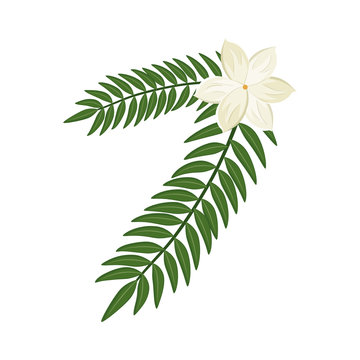 cute flower with branches and leafs isolated icon vector illustration design