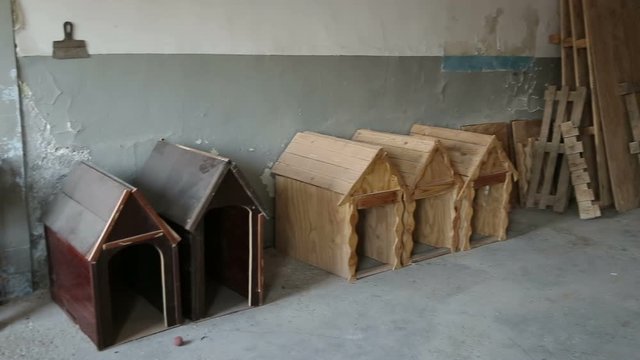 A shelter for dogs where different types of stray dogs live. Dogs drink water, eat dog food, fight each other, play, dog without a leg. man loves dogs. 