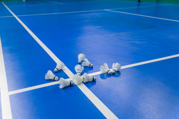 badminton blue court