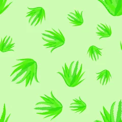 Afwasbaar Fotobehang Tropische bladeren Seamless pattern of green leaves of aloe vera plant on a green background. Vector illustration, hand drawn.