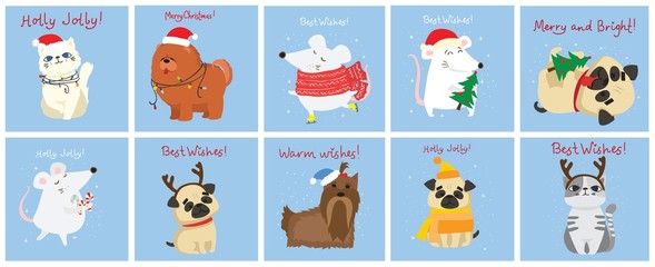 Vector illustration of Christmas cats, rats, pigs and dogs with Christmas and new year greetings. Cute pets with holiday hats