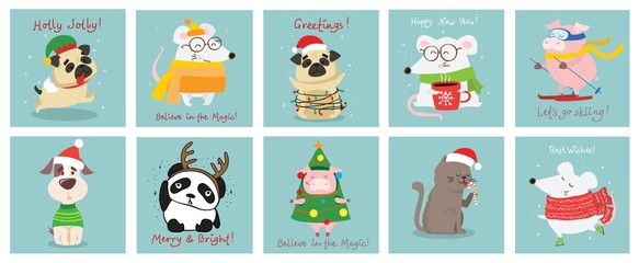 Obraz premium Vector illustration of Christmas cats, rats, pigs and dogs with Christmas and new year greetings. Cute pets with holiday hats
