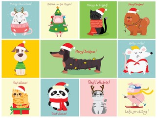 Vector illustration of christmas cats, rats, pigs and dogs with Christmas and new year greetings. Cute pets with holiday hats