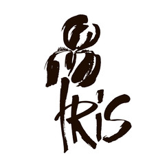 Vector flower logo. Floral background. Calligraphy ink. Stylized calligraphic ink iris.