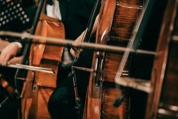 Symphony orchestra on stage, hands playing cello