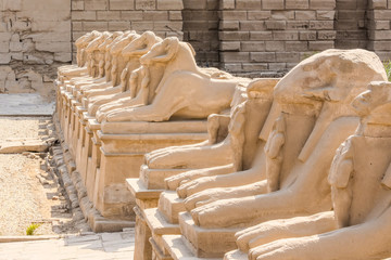 Karnak temple complex in Luxor, Egypt. Criosphinxes alley, sphinxes with ram heads.