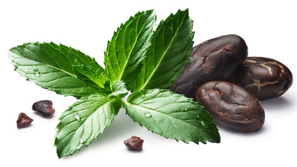 Mint with cocoa beans, paths