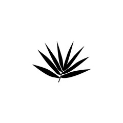 A branch with bamboo leaves black and white illustration. Sketch. Tropical plant of Asian countries, China, Japan, Korea. Icon vector