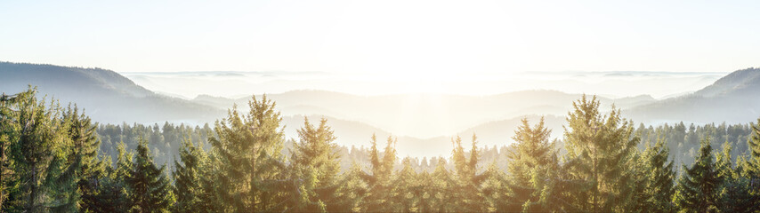 Amazing panorama background banner long from a fog landscape in the morning in black forest