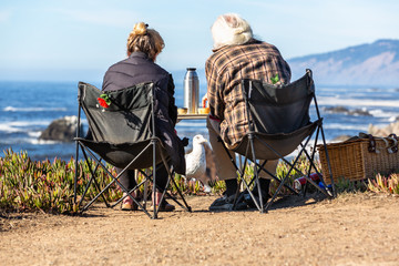 Table for two a picnic basket and a begging seagull