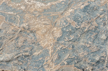 Stones for the background. Stone texture. Abstract background texture of stone. Close-up for text. Limestone texture for background.