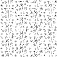 Floral seamless pattern with birds. Cartoon vector background. Monochrome illustration. Birds on a tree branches seamless pattern over white. Vector illustration