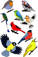Obraz na płótnie Canvas Vector sketch set drawn by hand. Set of vector outline line stroke birds set.