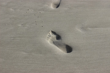 Gray sea sand coastline.