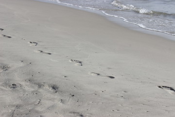 Gray sea sand coastline.