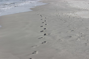 Gray sea sand coastline.