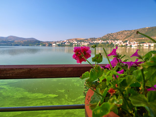 Kastoria, Greece.  Pot with flower and out of focus view from a cafe  by the lake Orestiada, in beautiful day light.