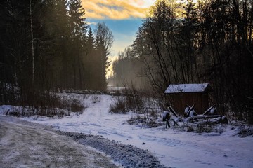 Small house in forest with fog, forest background with some sky clouds.