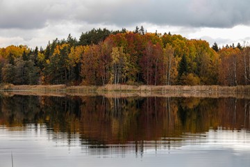 Calm lake with autumn forest colours in background