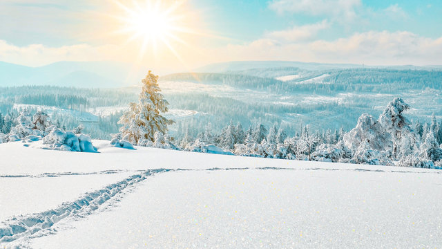 Stunning panorama of snowy landscape in winter in Black Forest - winter wonderland