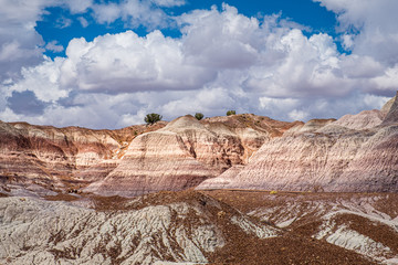 Beautiful, colorful hues form the canyons along the Blue Mesa Trail - Petrified Forest National Park