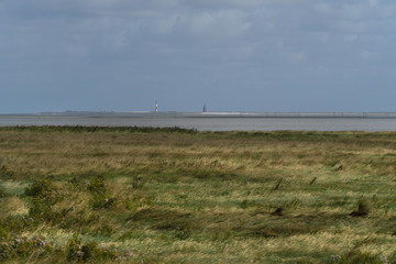 Salzwiese an der Nordseeküste im Nationalpark Wattenmeer mit Blick auf den Westturm der Insel Wangerooge - Stockfoto