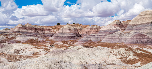Fototapeta na wymiar Beautiful, colorful hues form the canyons along the Blue Mesa Trail presented in a panoramic view - Petrified Forest National Park