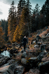 A outdoor travel adventure girl exploring the colorful orange mountain landscape forest in the wilderness with sunset light. Brocken, Harz National Park Mountains in Germany