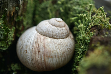 Weinbergschneckenhaus