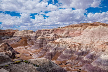 Beautiful, colorful hues form the canyons along the Blue Mesa Trail of the Petrified Forest National Park
