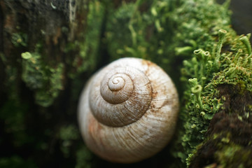 Weinbergschneckenhaus