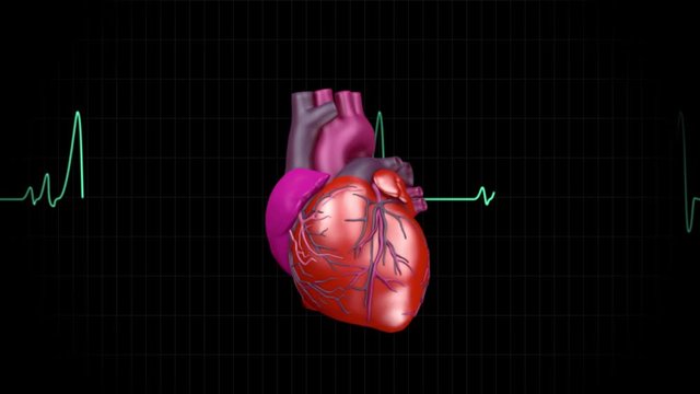 human heart beat graphics and 3d animation