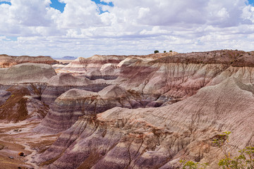 Beautiful, colorful hues of brown and purple form the canyons along the Blue Mesa Trail- Petrified Forest National Park