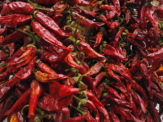 Garlands of red dried paprika pods in Budapest spice shop, Hungary. Natural food background.